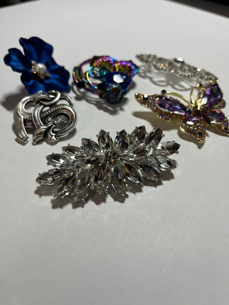 Brooch/Pin