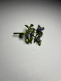 Periwinkle Buds