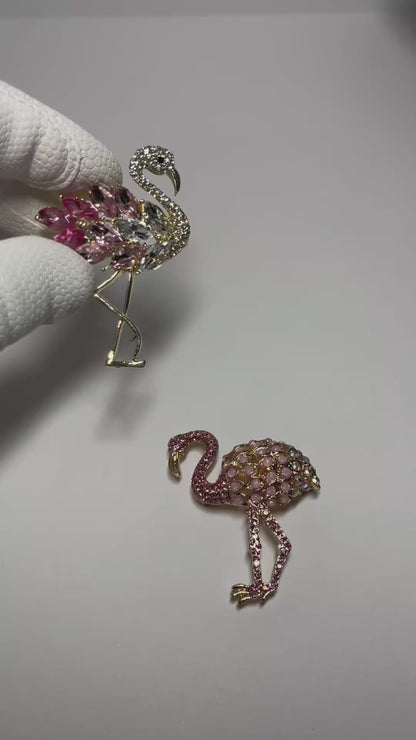 Flamingos